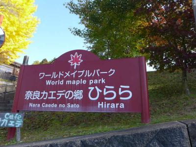 奈良カエデの郷～ひらら～・ワールドメイプルパーク