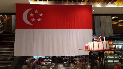 ビジネスで行くビンタン島&Singapore。今年もSingapore①