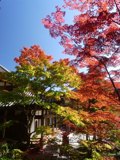 「崇禅寺」の紅葉_2019_色づき始めました。（群馬県・桐生市）