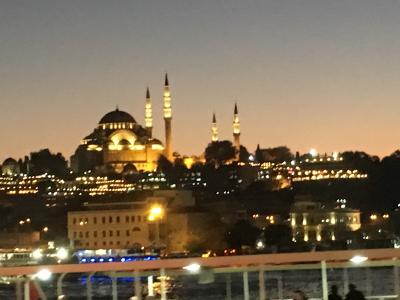 トルコ周遊：イスタンブル（トプカピ宮殿、アヤソフィア、ブルーモスク）観光編。2020年7月よりアヤソフィアはイスラム教モスクになった。