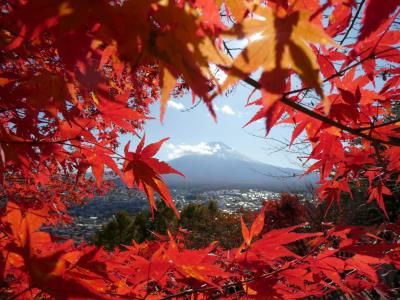 紅葉狩り　河口湖もみじ回廊＆新倉山浅間公園