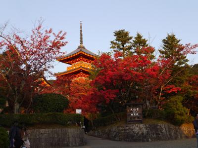 紅葉の京都 初日