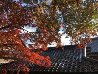 日帰り京都・あれもこれも詰め込み旅！