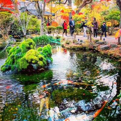 長野(軽井沢、小諸、東御、長和)で紅葉を楽しむ