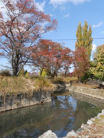 秋の「五稜郭」_2019_と言っても長野県です。（佐久市田口）