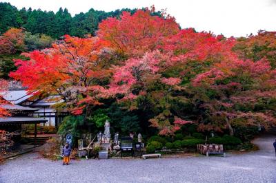 両子寺の紅葉　2019