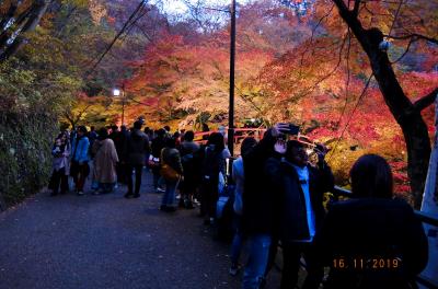 伊香保神社の紅葉と「おもちゃと人形・自動車博物館」