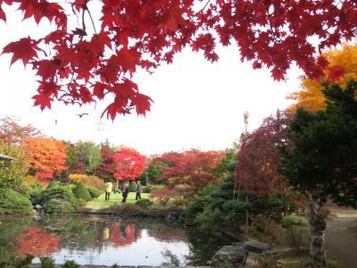 近間で紅葉観賞♪いつもの《札幌平岡樹芸センター》