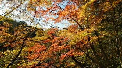 筑後川の源流マゼノ渓谷・パワースポットと押戸石の丘・菊池渓谷