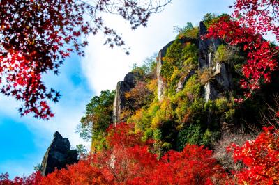 一目八景の紅葉