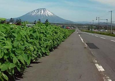 北海道・東北ジオパーク巡り旅　寄り道　編