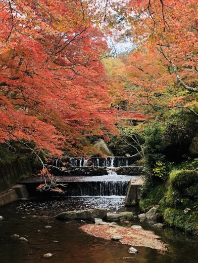 2019年11月　恵那峡、岩屋堂ドライブ紀行