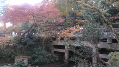 二十二社めぐりの旅(滋賀編)