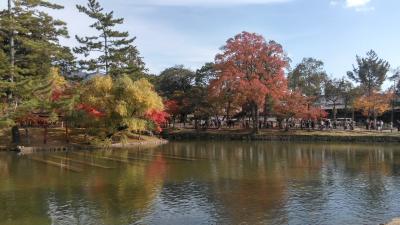 二十二社めぐりの旅(奈良編)