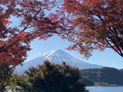 ふるさと納税で夫と山梨旅行