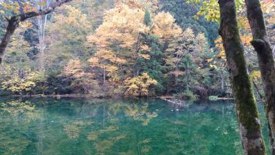 四季を通して楽しむ湯沢《紅葉満開!》