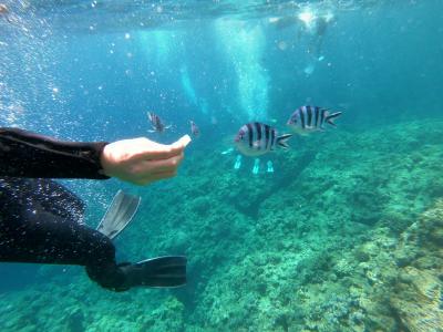 夫婦ふたりで沖縄本島旅行～二日目～