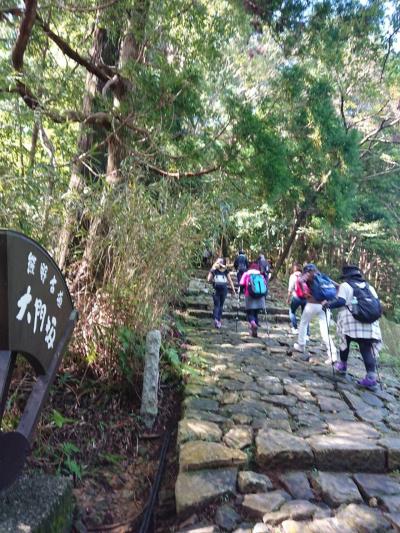 わいわい♪女６人旅～熊野古道・大門坂を歩く～