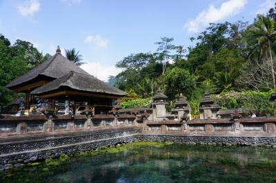 2019年11月バリ島Bali ウブド観光 ライステラスに世界遺産ティルタ ウンプル寺院(聖なる泉が湧く寺院)