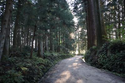 日光の社寺・・昼なお暗い日光市杉並木公園をめぐります。