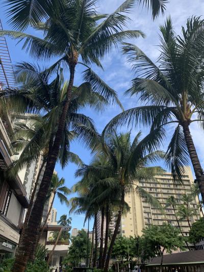 2019年11月　ブレーカーズホテル滞在中6