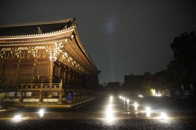 雨の知恩院(No2)　一緒に三門で雨宿り如何ですか？