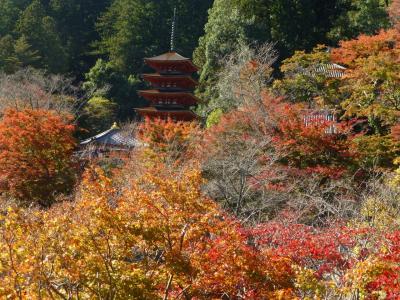 わいわい♪女５人旅～奈良・紅葉と特別拝観と黄金の草原～