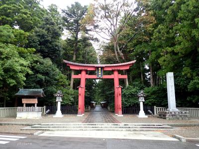 新米とうまい魚を求めて新潟へ〈２〉新潟イタリアン、弥彦神社、おにぎり