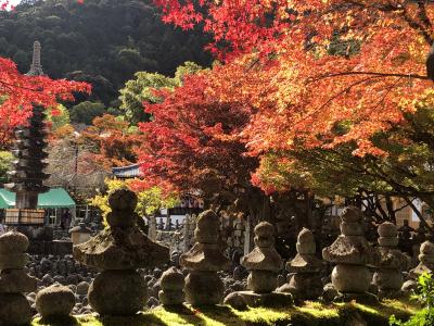 2019年11月　まだ行ったことのない京都、一日乗車券と嵐電でめぐる広隆寺・嵐山・念仏寺・大覚寺・金閣寺