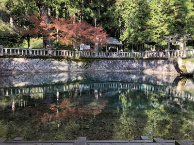 今年もカニさんありがとう(松葉かに旅行記2019)