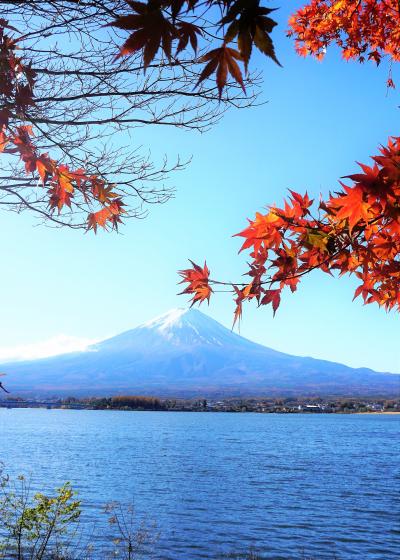 山梨で紅葉狩り