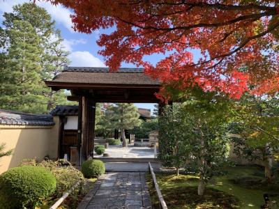 朝観光（20ー3）　京都の紅葉（紫野大徳寺 2）