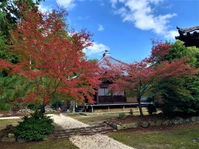 朝観光（20ー4）　京都の紅葉（山科）