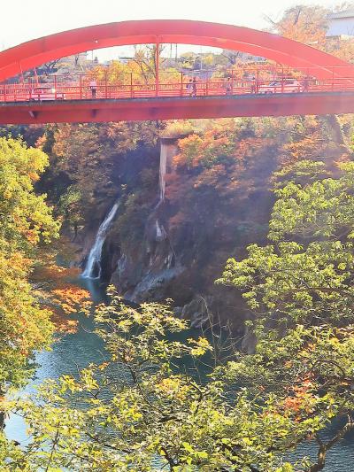 高津戸峡-1　高津戸峡遊歩道　約500mを往復　☆渡良瀬川沿いに紅葉色づき