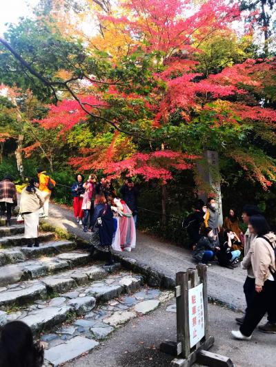 紅葉シーズン真っ只中 大原まで