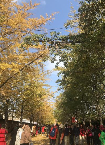 紅葉の大連・旅順(1/2)