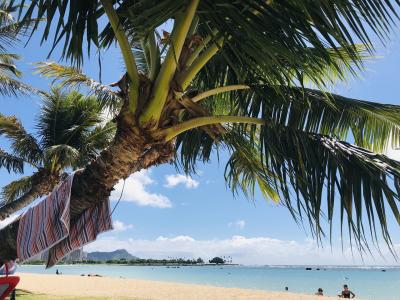 50代夫婦で毎年ハワイ