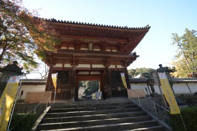 天野山 金剛寺の紅葉