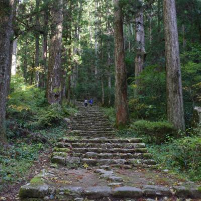 2019年11月 鳳来寺山日帰り登山