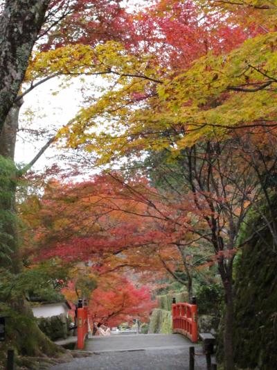 2019.11.22　金  京都　紅葉　大原三千院　天皇陵　No1