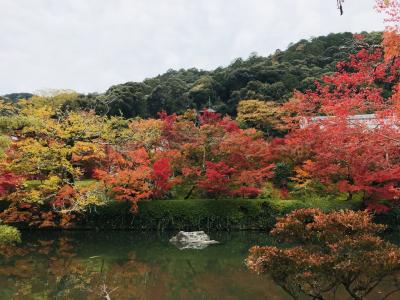 2019京都の紅葉