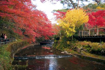 ■ 岩屋堂公園 紅葉狩りの旅　＜愛知県＞