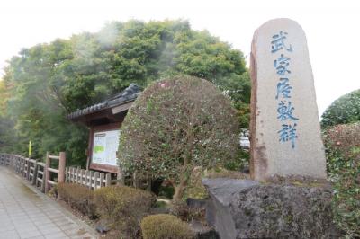 どこかにマイルで鹿児島へ　①