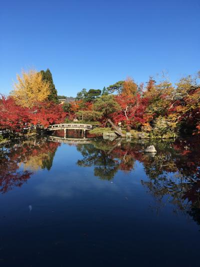 永観堂と圓光寺2019紅葉狩ランin京都