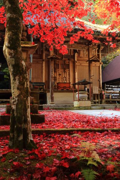 広島・岡山　紅葉めぐり～佛通寺、御調八幡宮、今高野山龍華寺、旧日野上小学校