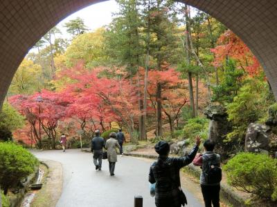 美しい越後の紅葉　２　弥彦村　椿寿荘　弥彦神社　弥彦公園　