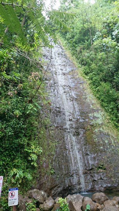 2019年１１月、雨季に入ったハワイは雨も降るけど過ごしやすい！　③　5日目　マノアの滝～最終日　