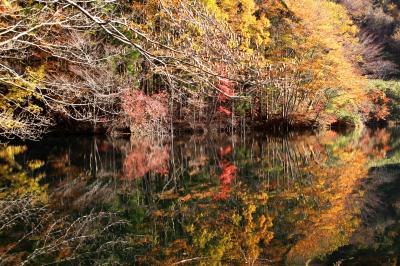 ◆錦繍の水鏡・滑川砂防ダム(その２)　