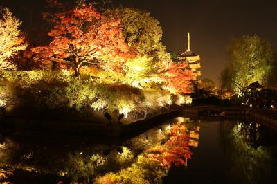 紅葉の京都･宇治と京都市内を少しだけ