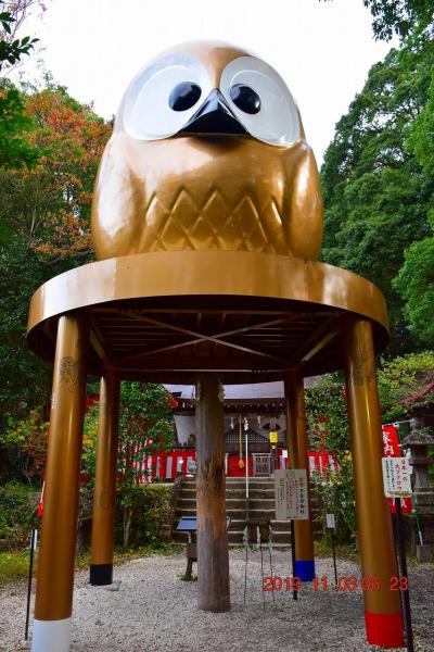 2019 日本一の大フクロウ（不苦労）と大当たり続出で有名な鷲子山上神社に行ってきました